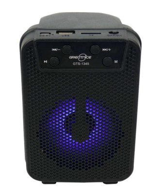 اسپیکر گریت نایس GTS 1345